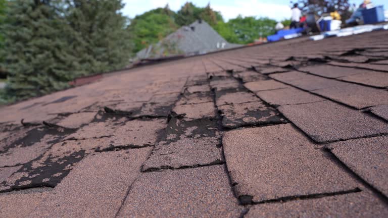 Trusted Hanover Park, IL Roofing Service Experts