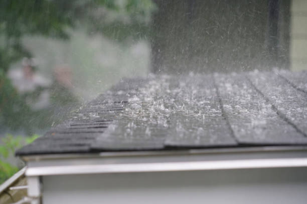 Best Skylight Installation and Repair  in Hanover Park, IL